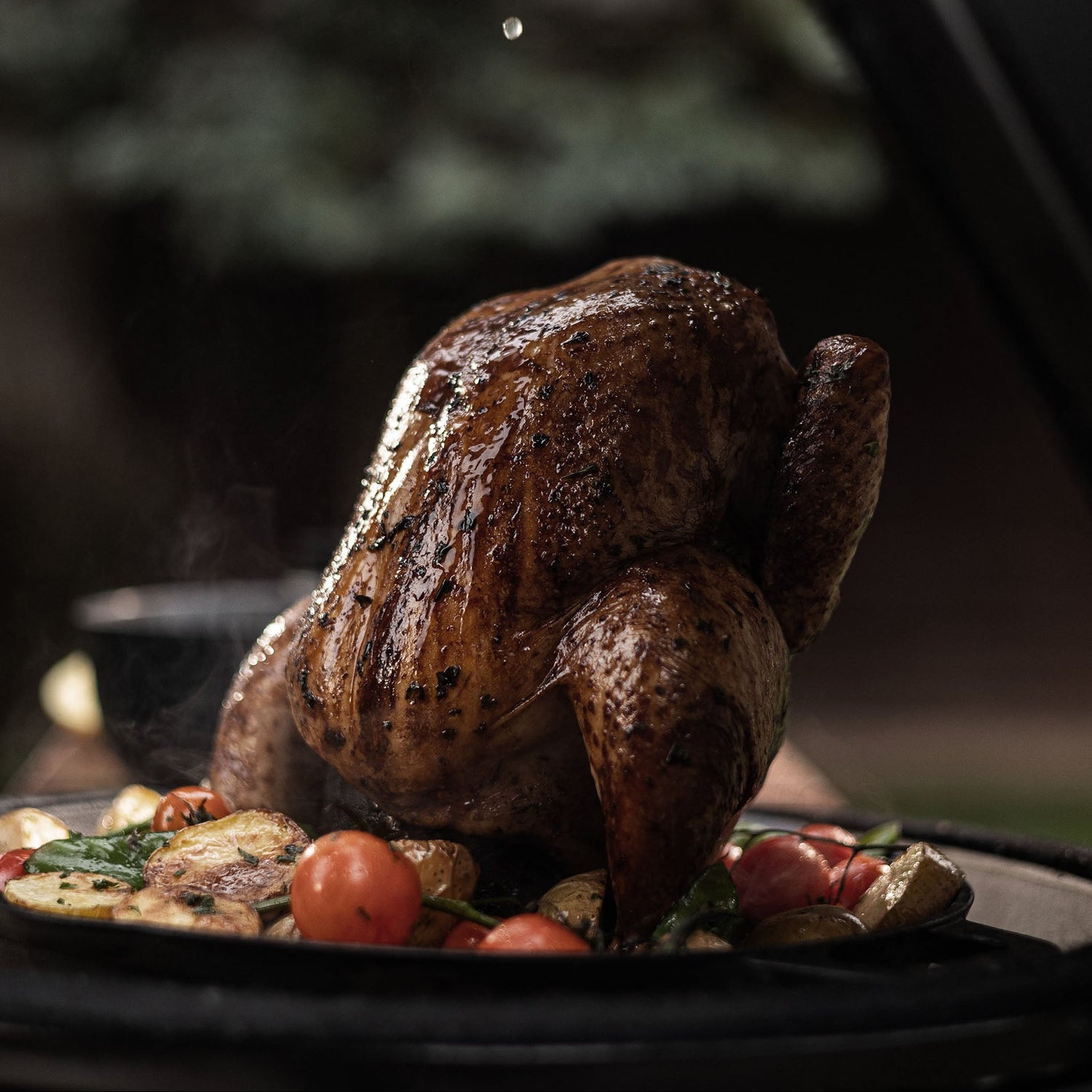 Poulet rôti doré à la perfection sur le barbecue Forest Grill, accompagné de légumes grillés pour une cuisson savoureuse et homogène.