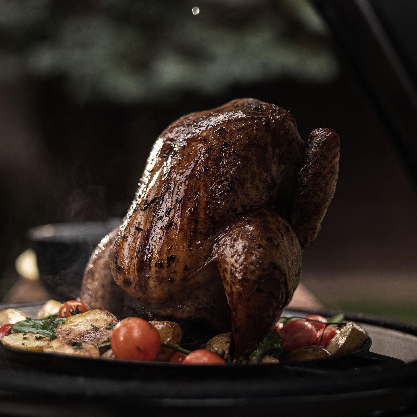 Poulet rôti doré à la perfection sur le barbecue Forest Grill, accompagné de légumes grillés pour une cuisson savoureuse et homogène.