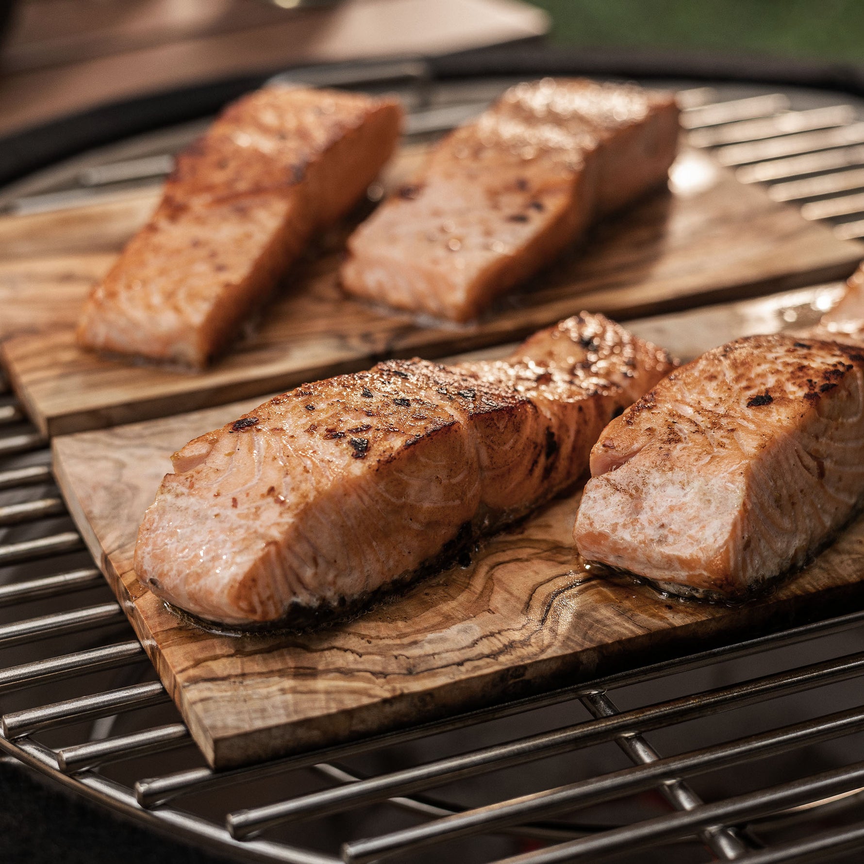 Filets de saumon grillés sur planche en bois disposés sur la grille d’un barbecue Forest Grill, légèrement dorés pour une cuisson tendre et savoureuse.