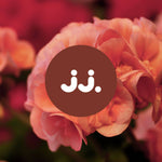 Fleurs de géranium rosées avec logo jj., pour la senteur Citronnelle & Géranium.