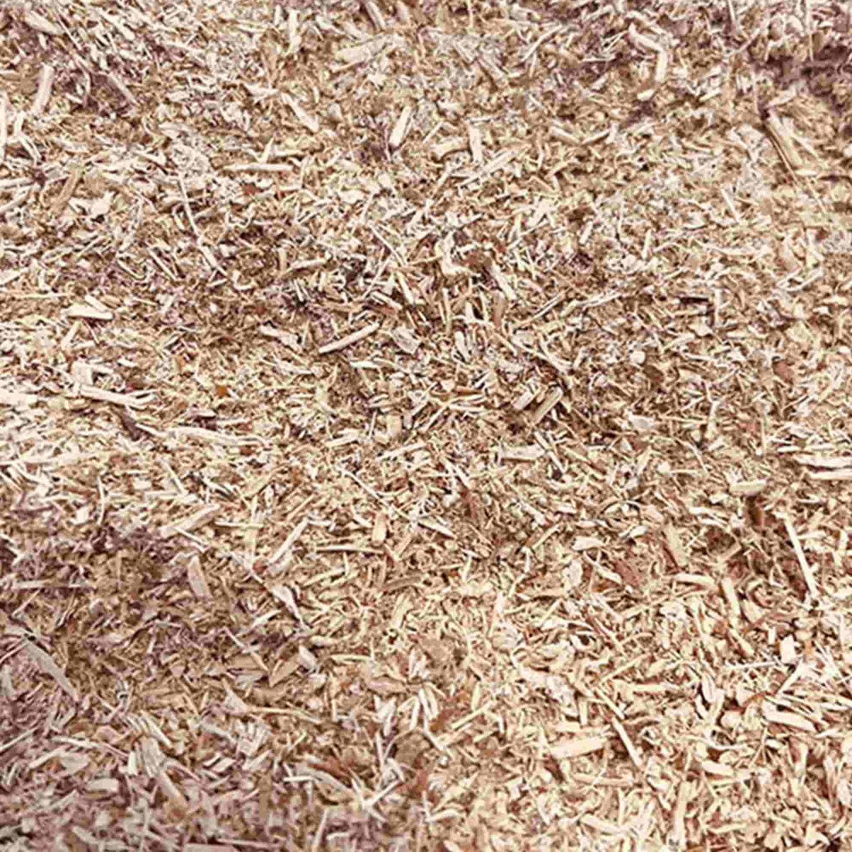 Gros plan sur de la sciure de bois naturelle, utilisée pour le fumage à froid dans un barbecue kamado.