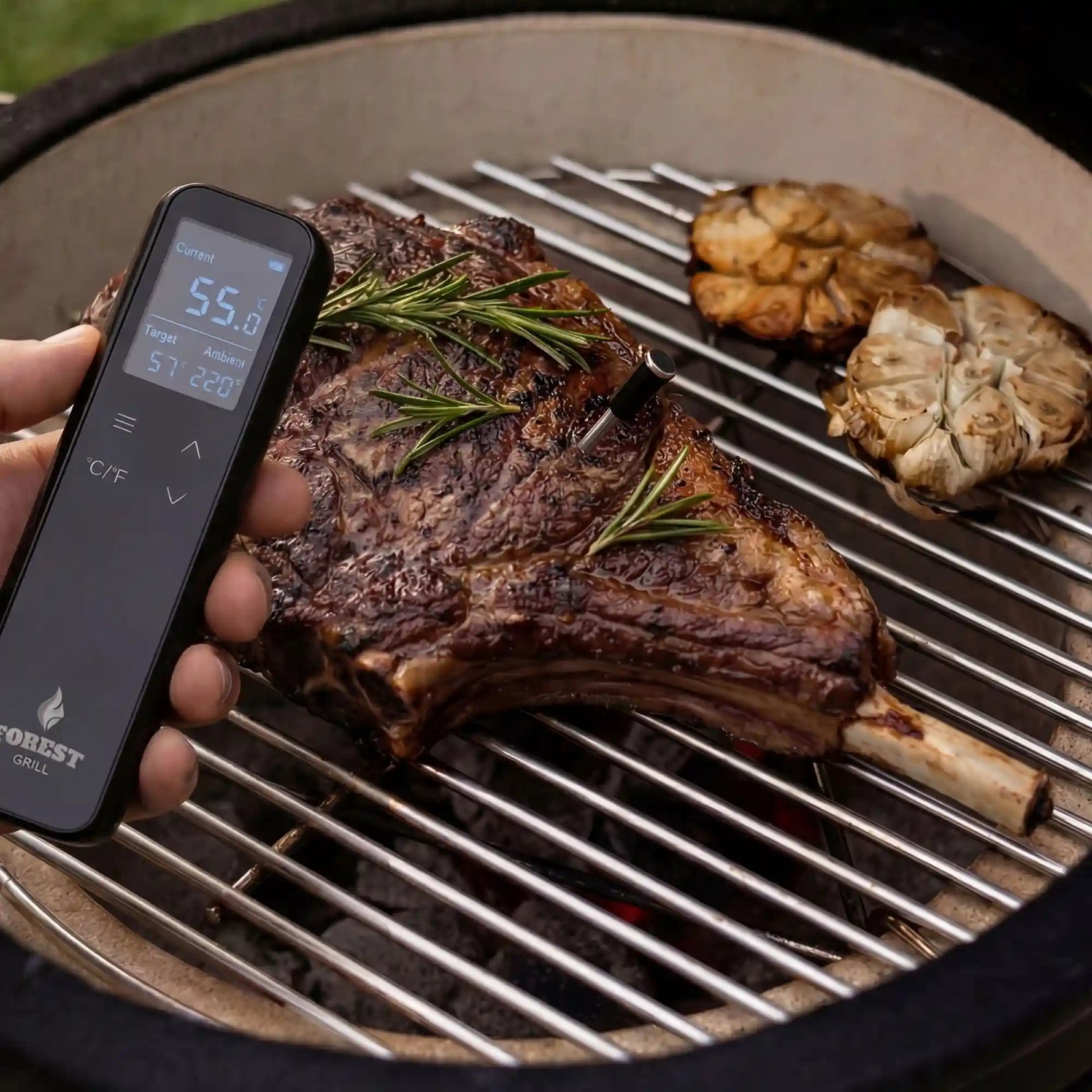 Thermomètre de cuisson à 1 sonde utilisé sur viande au barbecue